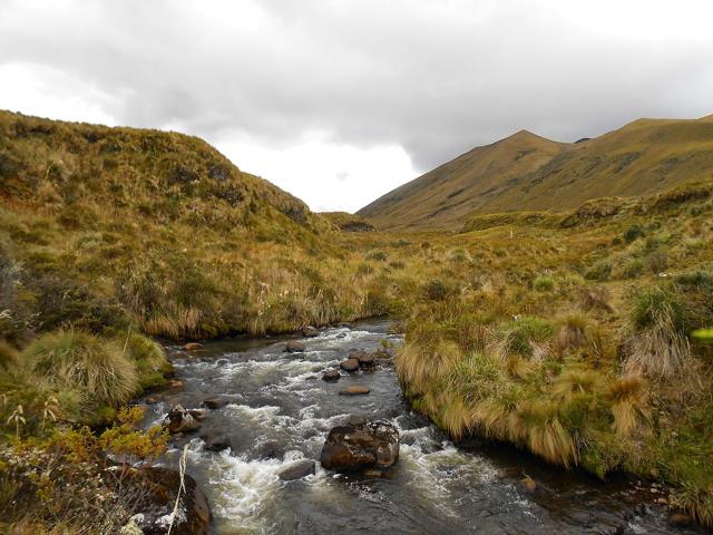 Llanganates National Park